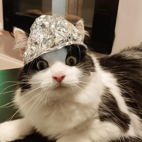 Purrfect Master of Trigrammaton Qabalah